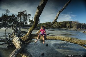 Capers Island State Heritage Preserve