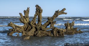 Capers Island State Heritage Preserve