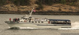 Mystic Sea Charters Whale Watching in Anacortes, Washington