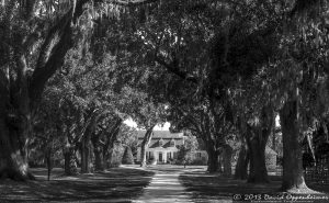 Oakland Plantation House in Mount Pleasant, South Carolina