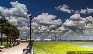 Waterfront Park in Charleston