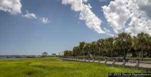 Waterfront Park in Charleston