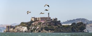 Alcatraz Island in San Francisco Bay