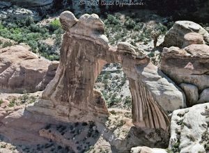 Angel Arch in Canyonlands National Park Aerial