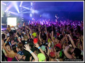 Bassnectar & Bonnaroo Crowd