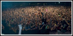 Bassnectar - Lorin Ashton at the 2010 Bonnaroo Music Festival