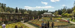 Biltmore Estate Walled Garden and Conservatory