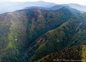 Blue Ridge Parkway in WNC