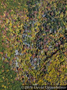 Blue Ridge Parkway Fall Colors Aerial