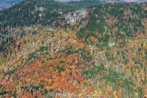 Black Balsams mixed with Autumn Colors along the Blue Ridge Parkway in the mountains of Western North Carolina