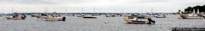 Boats in Larchmont Harbor