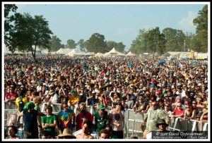 Bonnaroo Crowd Photo