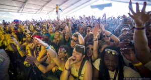 Bonnaroo Music Festival Crowd Photo