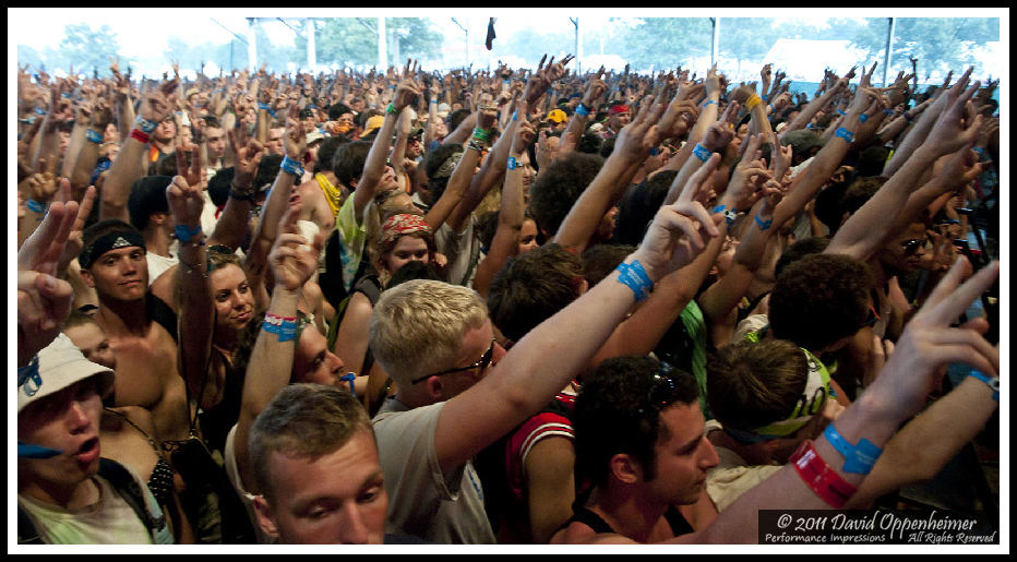 Bonnaroo Crowd