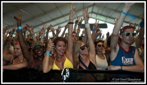 Bonnaroo Crowd