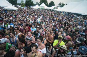 Bonnaroo Music Festival Crowd