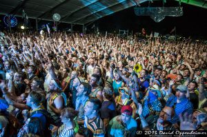 Bonnaroo Music Festival Crowd