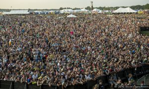 Bonnaroo Music Festival Crowd