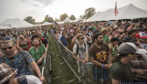 Bonnaroo Music Festival Crowd Photo