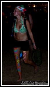 Bonnaroo Crowd Photos - Bonnaroo Girls, Crowds & More - 2010 Bonnaroo Music Festival Photos - © 2011 David Oppenheimer