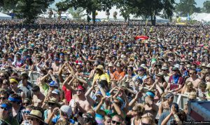 Bonnaroo Music Festival Crowd