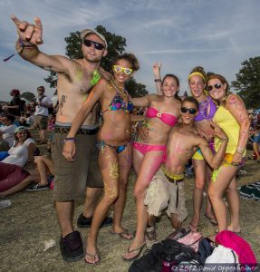 Bonnaroo Music Festival Crowd Photo