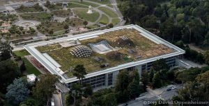 California Academy of Sciences Living Roof in San Francisco