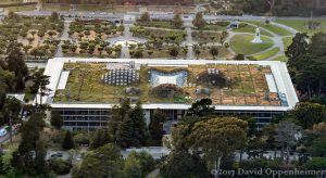 California Academy of Sciences Living Roof in San Francisco