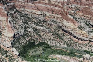 Upper Salt Creek in the Needles District of Canyonlands National Park Aerial