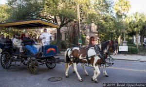 Charleston Horse Carriage Tour