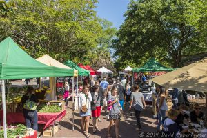 Charleston Farmers Market at Marion Square in Charletson, South Carolina