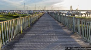 Charleston Harbor Resort & Marina