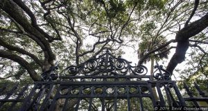 Charleston Park and Ironwork