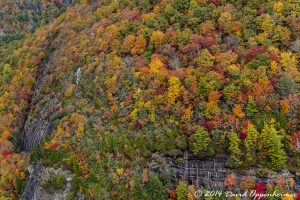 Nantahala National Forest Fall Colors