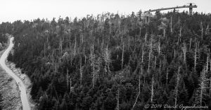 Clingmans Dome Observation Tower in the Great Smoky Mountains