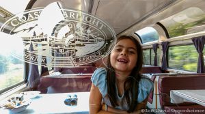 Coast Starlight Train Ride