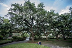 College of Charleston in Charleston, South Carolina