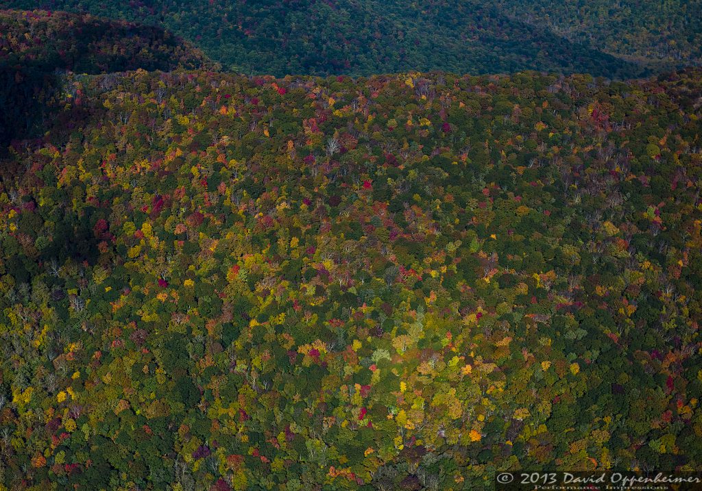 Autumn Colors at Craggy Gardens along the Blue Ridge Parkway