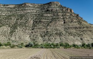 Farm in Mesa County Colorado