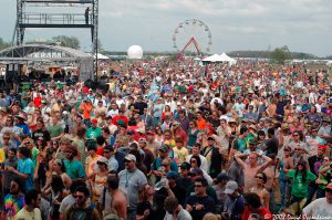 Festival Crowd Photo from Stage View