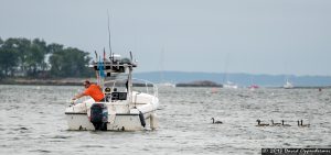 Fishing Boat in Mamaroneck Harbor