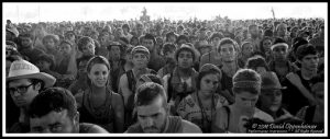 Freelance Whales at Bonnaroo Music Festival