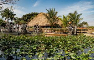 Gator Park in the Everglades in Miami, Florida