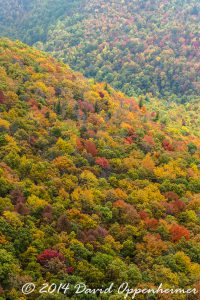 Nantahala National Forest Fall Colors Aerial Photo