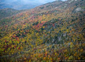 Grandfather Mountain State Park Autumn Colors