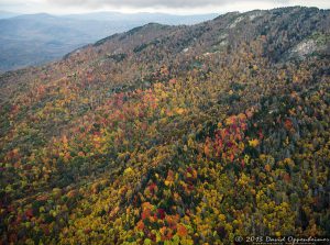 Grandfather Mountain State Park Autumn Colors