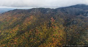 Grandfather Mountain State Park Autumn Colors