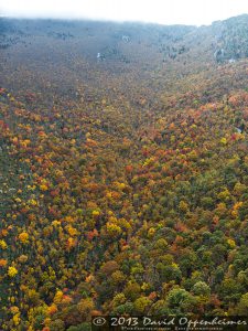 Grandfather Mountain State Park Autumn Colors