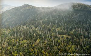 Great Smoky Mountains National Park Aerial Photo