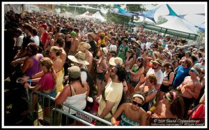 Greensky Bluegrass at Bonnaroo Music Festival